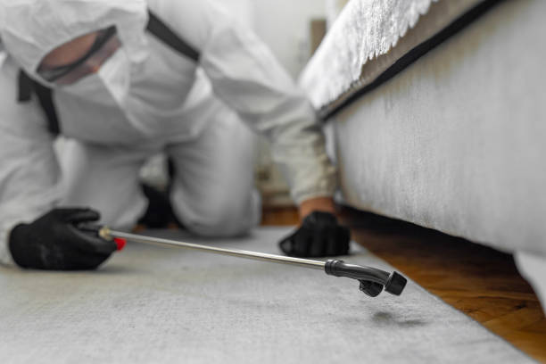 Professional Ant Control technician working in Cuyahoga Falls, OH